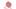 BPD Studie Rhein-Ruhr-Region